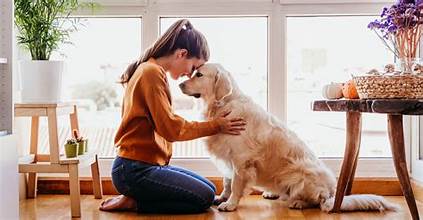 The Rise of “Wellness Grooming”: How Pet Parents Are Redefining At-Home Care in 2025