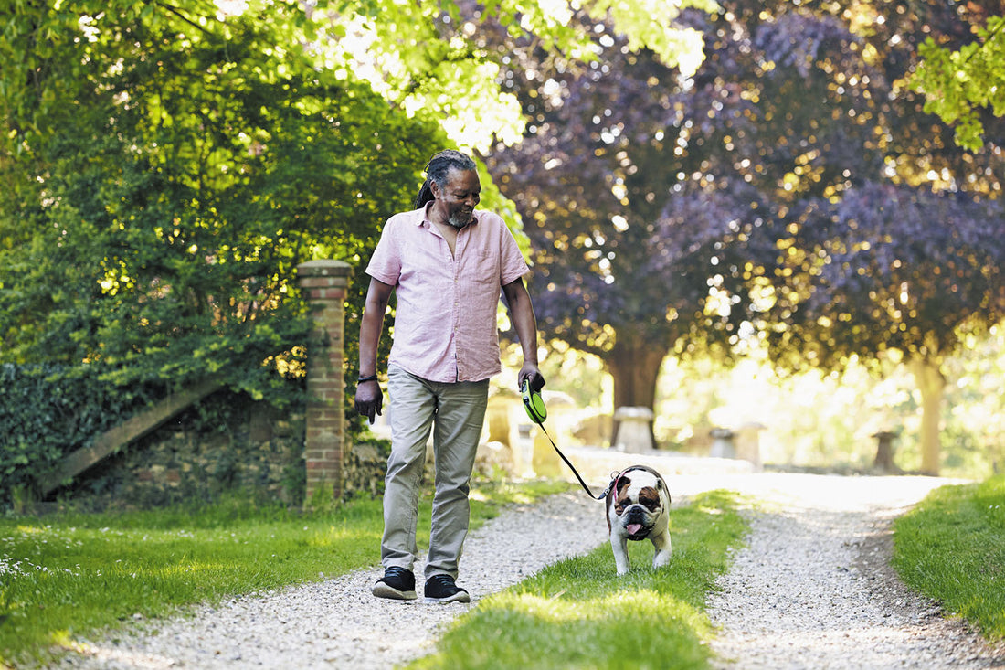 Micro-Dosing Nature: The Rise of Backyard Wellness, Grounding, and Sunlight Breaks for 2025