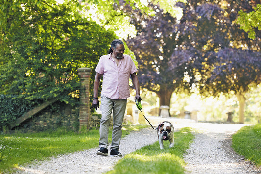 Micro-Dosing Nature: The Rise of Backyard Wellness, Grounding, and Sunlight Breaks for 2025